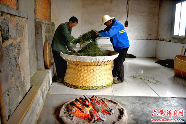 六安霍山大化坪镇：青枫岭上“新农人” 小饭店成就大产业