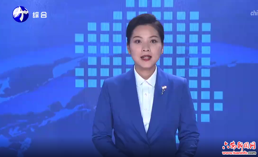 裕安区江家店镇：抢抓农时备春耕
