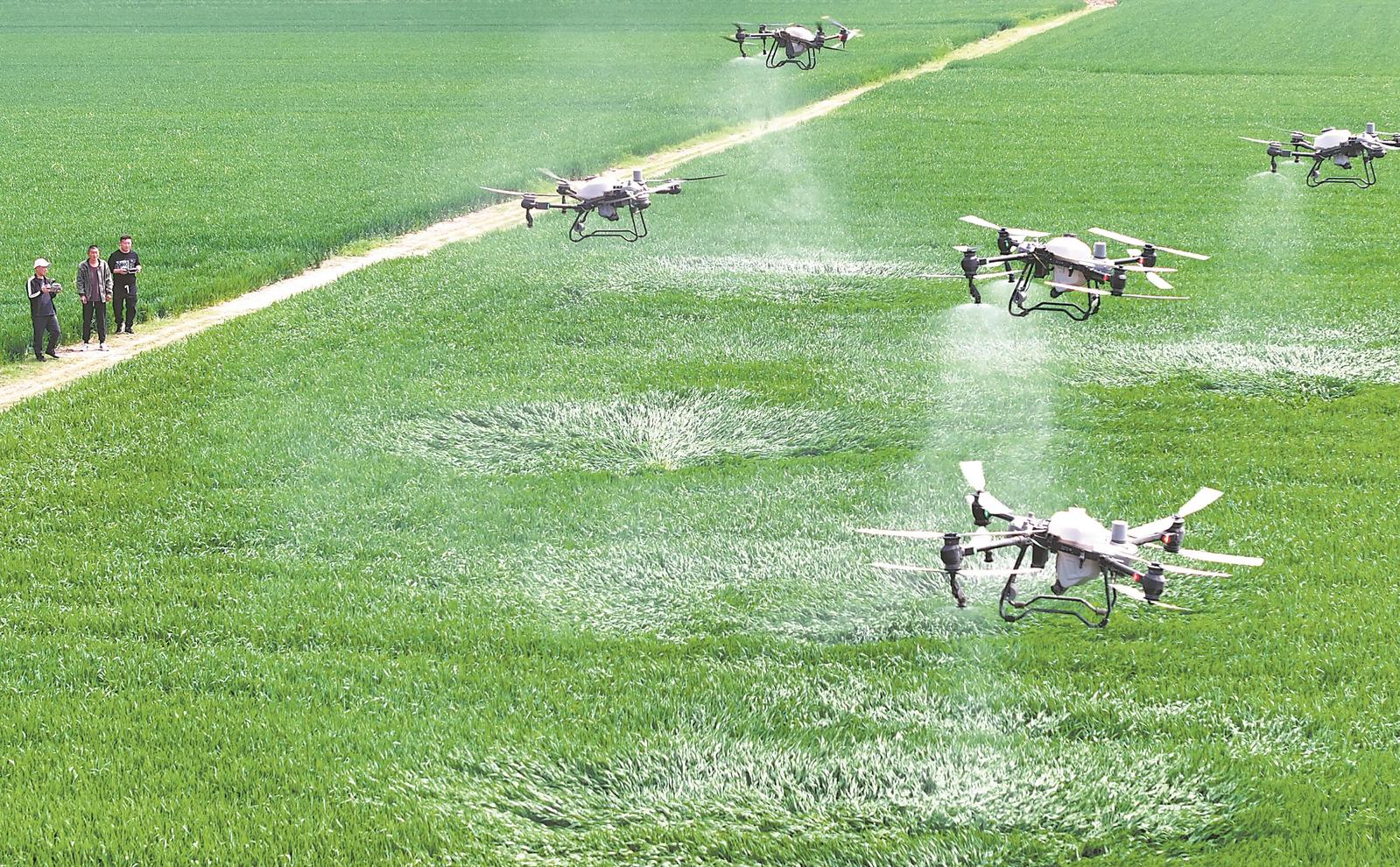 【江淮观察】在希望的沃野上奏响“春之乐章”