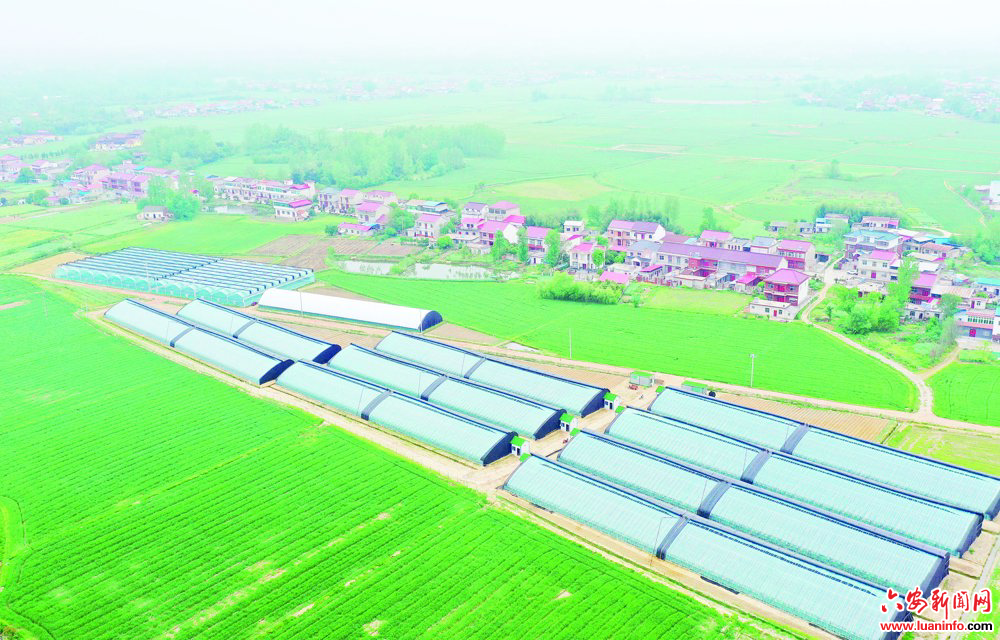 7db4e705f42f4e23aa490e9df579499e.jpg 7db4e705f42f4e23aa490e9df579499e.jpg