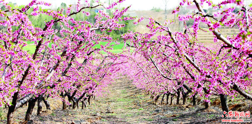 0c8c959224b84aaaa0cd92583d238cbd.jpg 0c8c959224b84aaaa0cd92583d238cbd.jpg