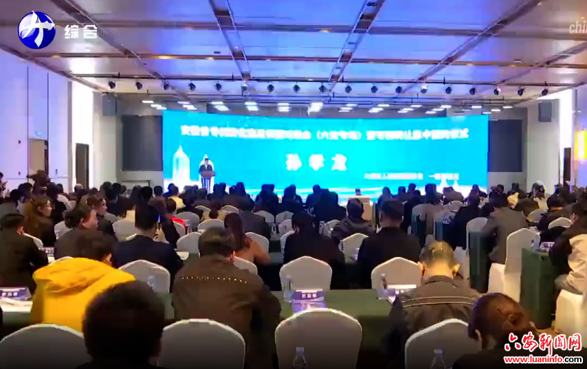 安徽省专利转化运用供需对接会（六安专场）暨 专利转让集中签约仪式举行