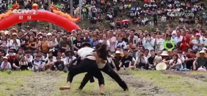 侗族摔跤、蜀道游、高原“春日宴”…… 特色文旅让“小地方”赢得“大流量”