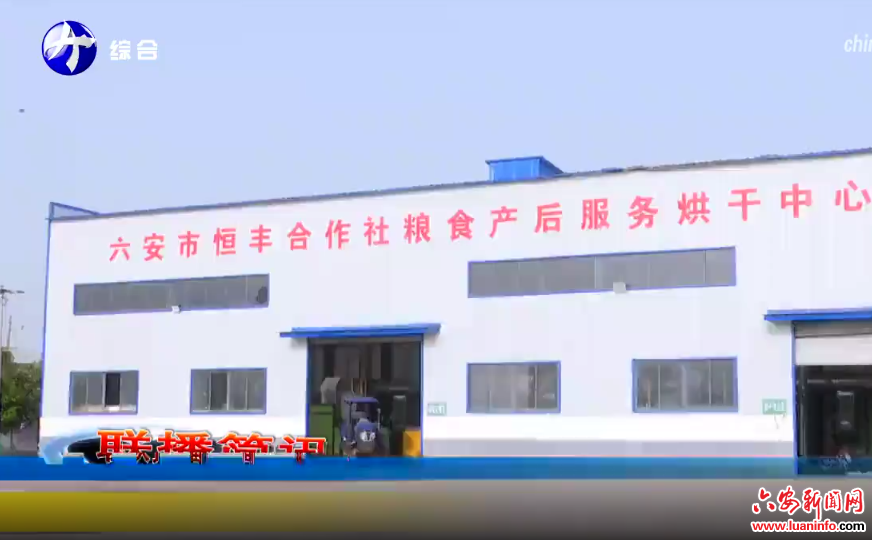 市领导调研春耕备耕和乡村振兴工作
