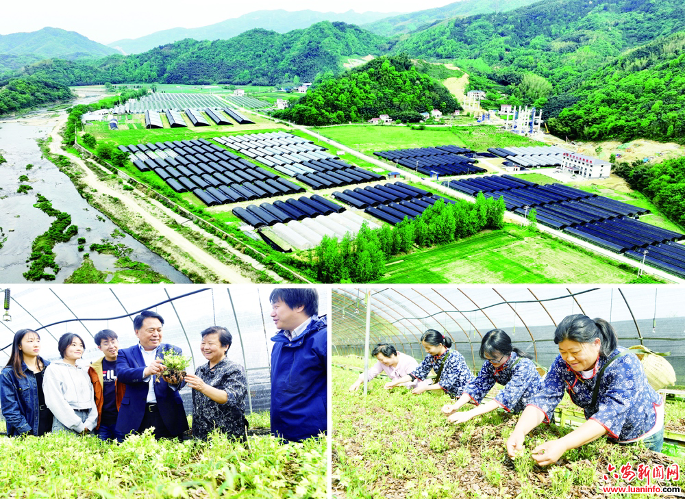 5fbf9768c32946728843d2cd55252ecc.jpg 5fbf9768c32946728843d2cd55252ecc.jpg