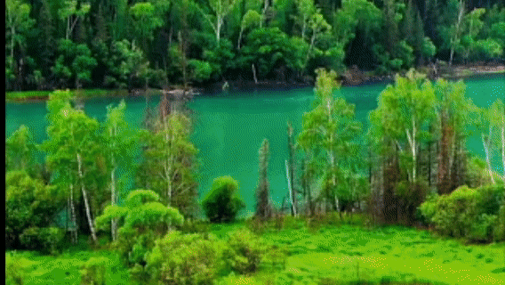 首播就冲上热榜！电视剧《我的阿勒泰》CCTV-1正在热播中