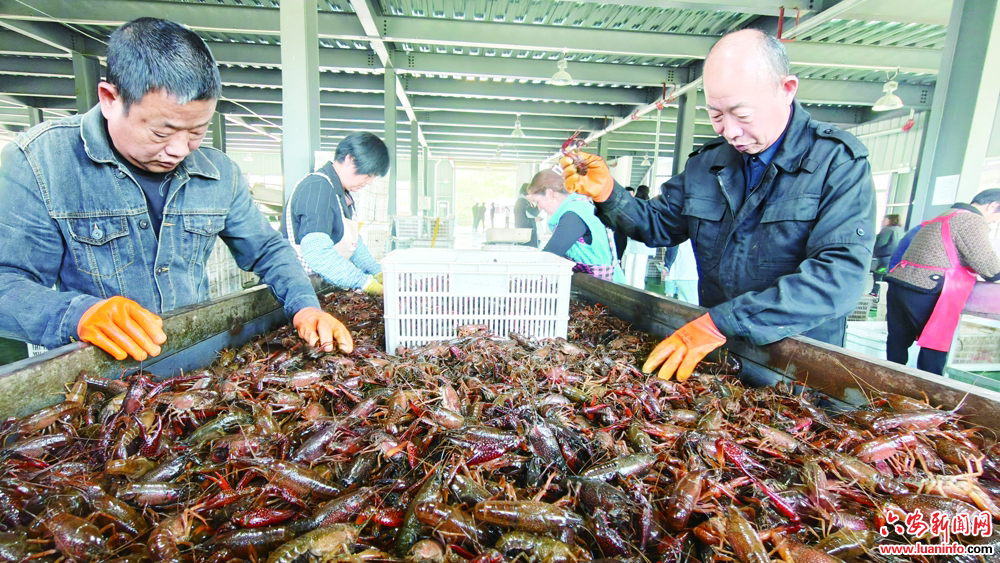 0515c5b1c17b48d2846b448279ff06c3.jpg 0515c5b1c17b48d2846b448279ff06c3.jpg