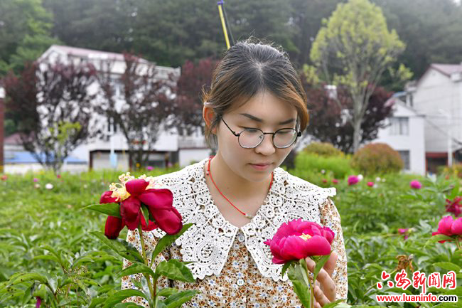 诗意田园醉斛乡