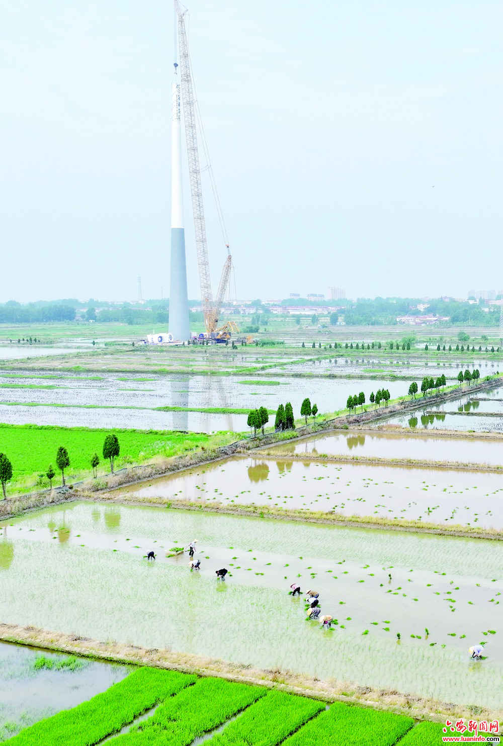 追“风”逐“绿”