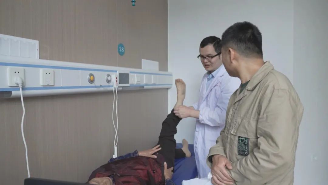 【推进长三角一体化发展】高水平合作让长三角民生“幸福圈”越扩越大