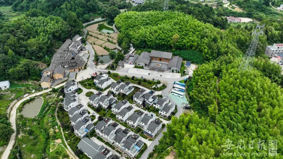 安徽干了啥，连评三年“好”