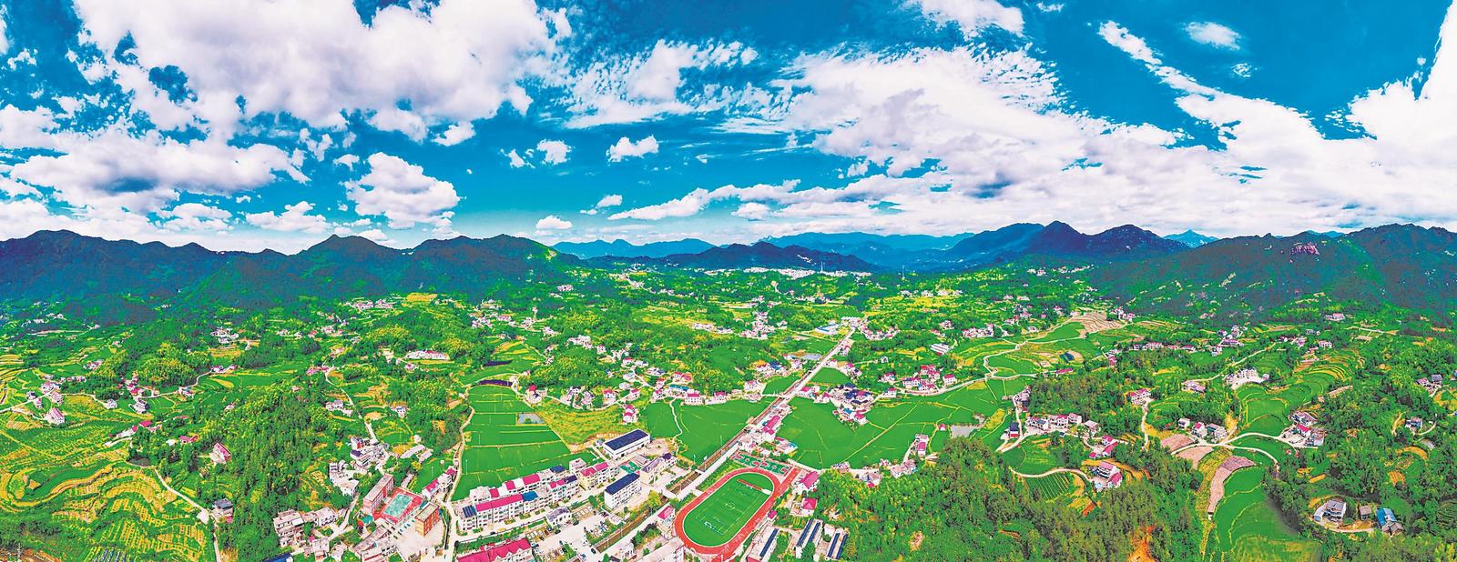 向"绿"而行 厚植高质量发展底色