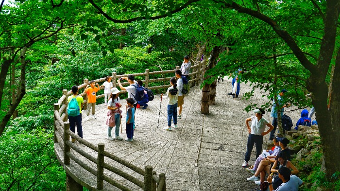 黄山风景区迎来暑期旅游高峰