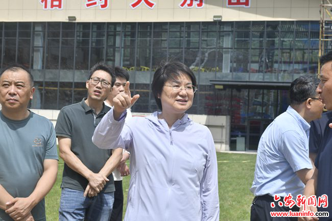 省文旅厅党组成员蔡小莉到霍山漫水河镇调研