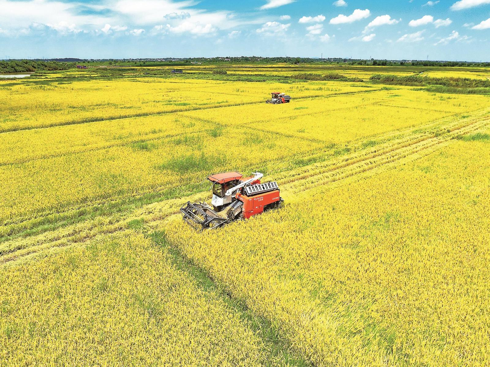 稳住农业基本盘 筑牢“三农”压舱石