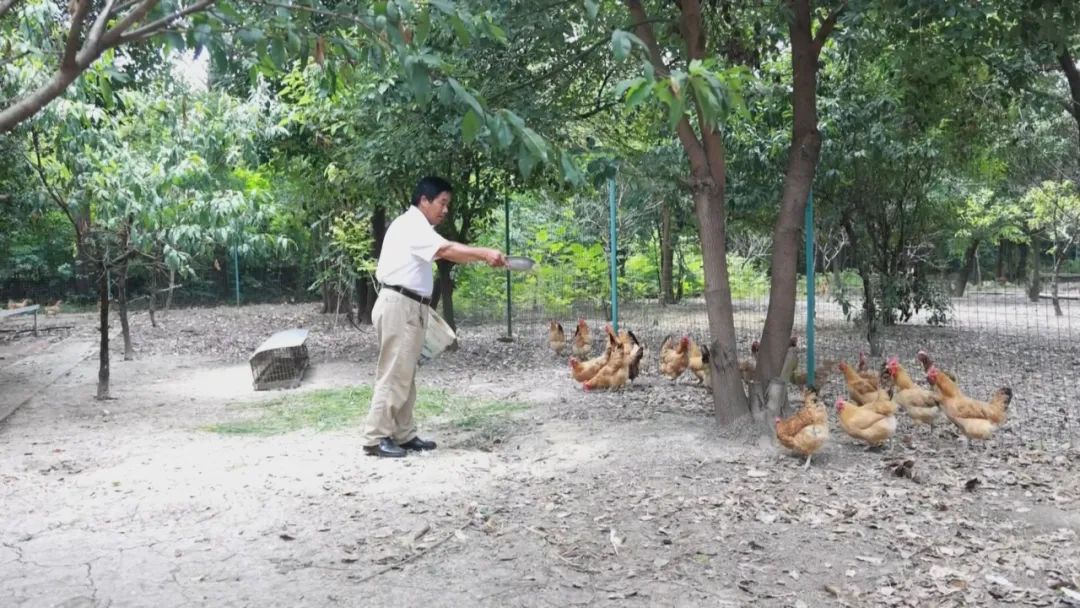 【深入推进“万企兴万村”行动】“万企兴万村”绘就和美乡村新画卷