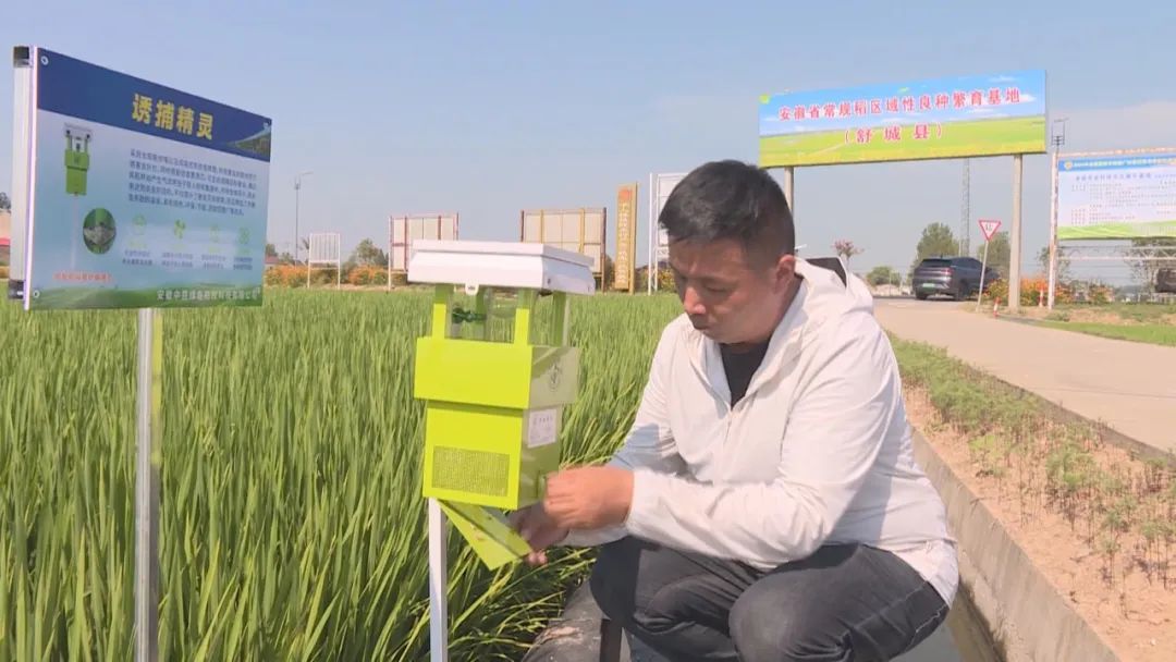 【农民增收在行动】科技“点亮”农民持续增收新梦想