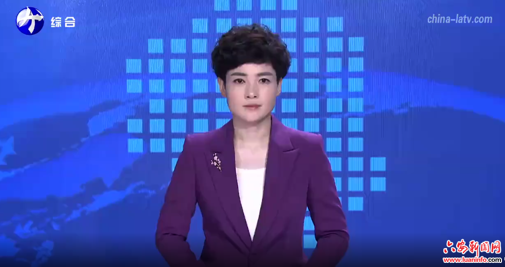  方正在霍邱县、叶集区宣讲党的二十届三中全会精神并督导调研时强调 守牢安全和环保底线 促进产业转型升级