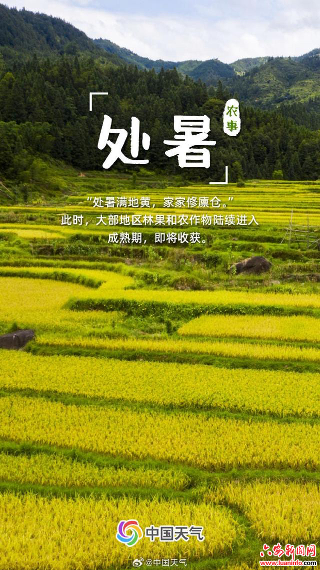 二十四节气养生——处暑篇