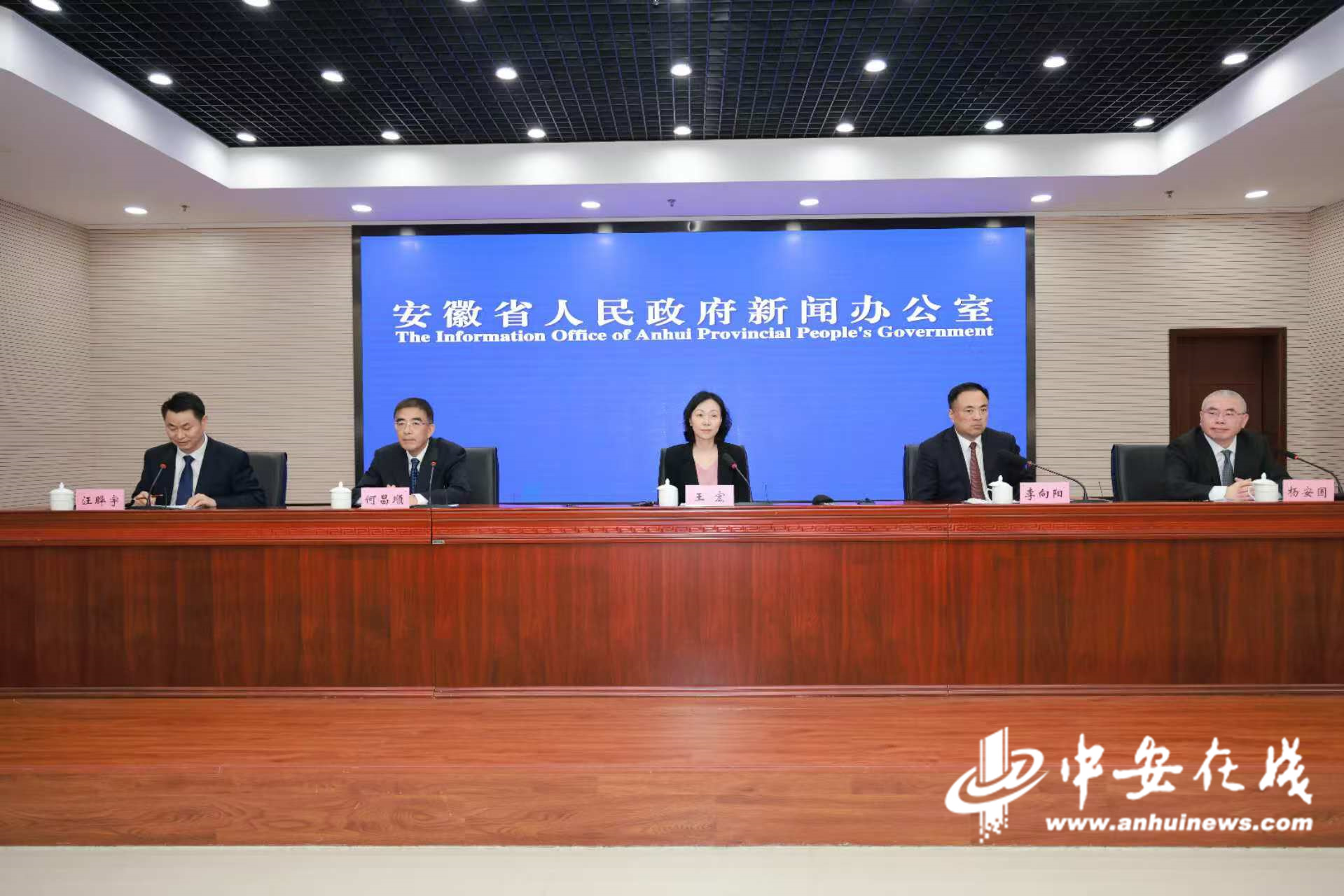 安徽国资国企改革取得系列成果