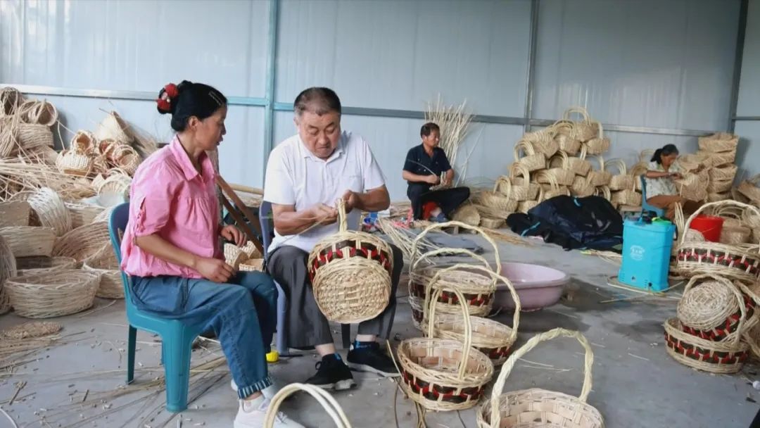 【深入推进“万企兴万村”行动】“万企兴万村”：打造共同富裕的幸福产业