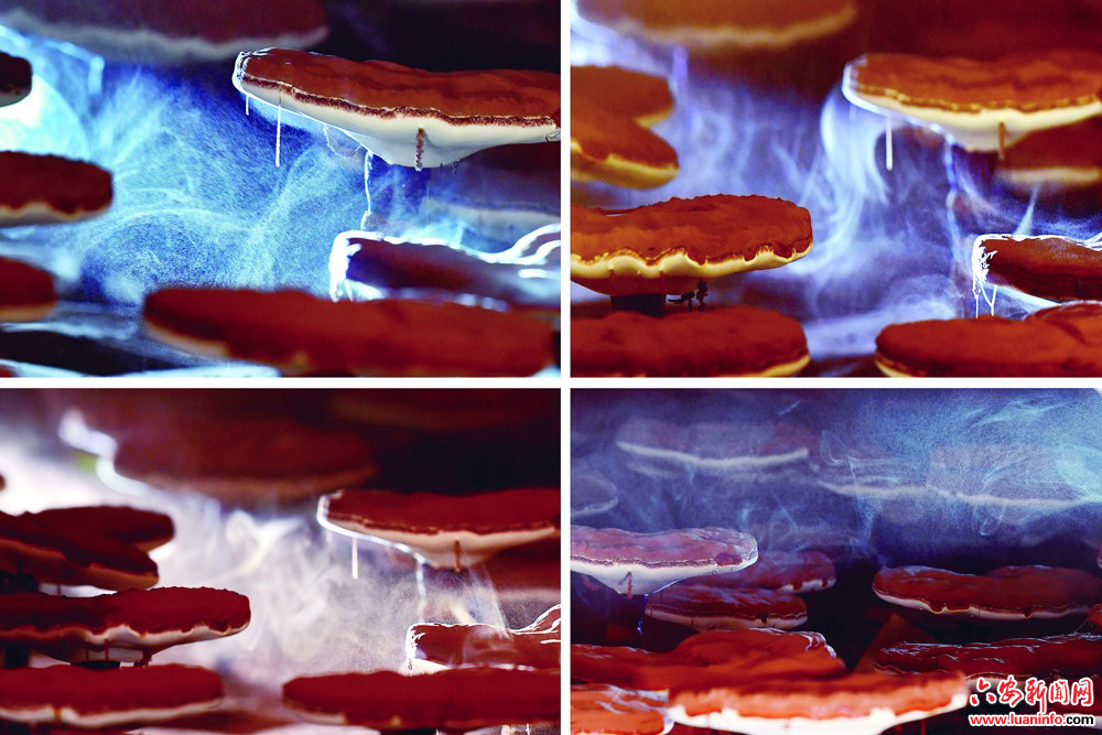 f03ef9555040428aa25f3fddb29af25b.jpg f03ef9555040428aa25f3fddb29af25b.jpg