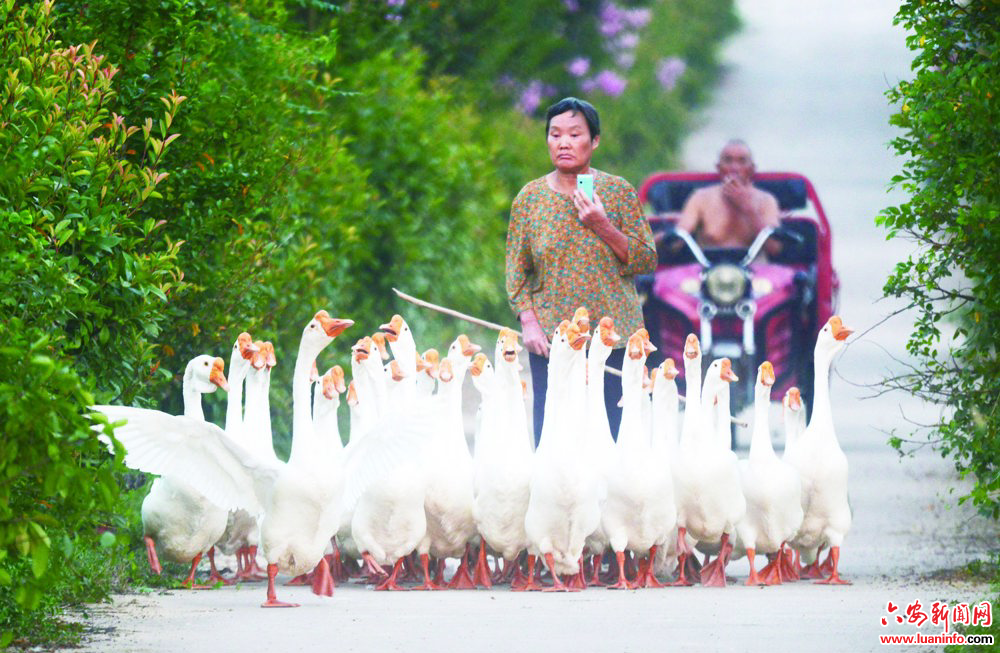 f323bf90fea44091a87ab693a02c46a6.jpg f323bf90fea44091a87ab693a02c46a6.jpg