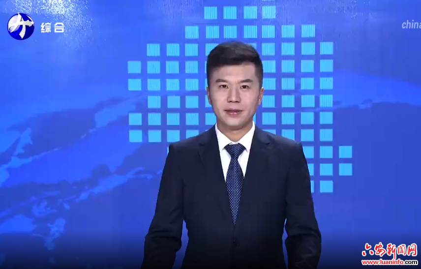  全国妇联书记处书记宋莉到金寨调研