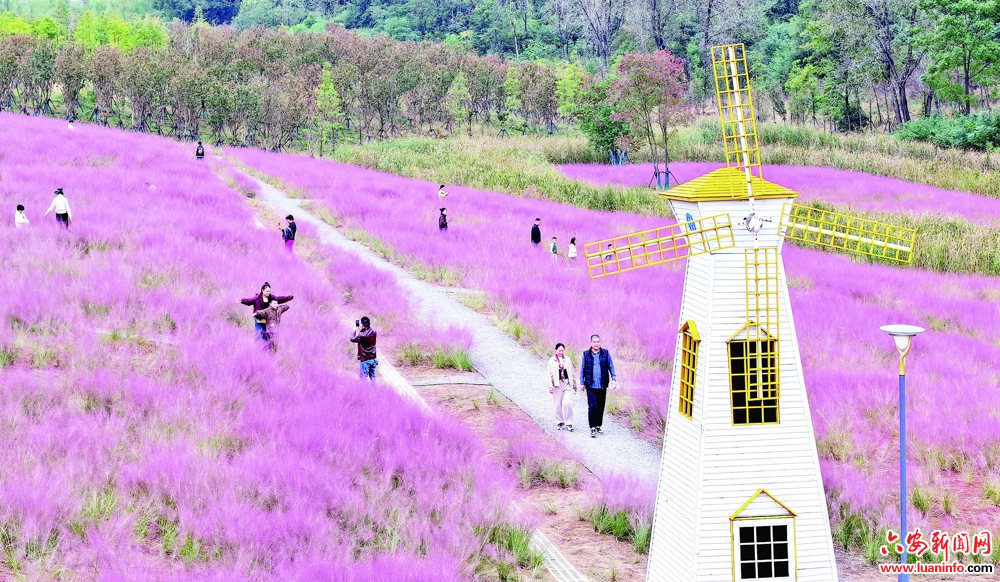 1ed25fd6bf2049f0a34e9c48e79fadd9.jpg 1ed25fd6bf2049f0a34e9c48e79fadd9.jpg