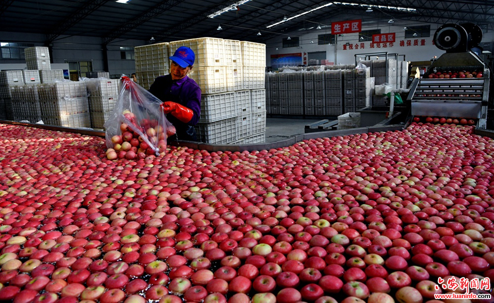 043802d81d3243778f73b593168ce48d.jpg 043802d81d3243778f73b593168ce48d.jpg