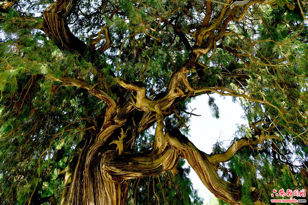 4489bd6e175e4232bb46a5949ae29894.jpg 4489bd6e175e4232bb46a5949ae29894.jpg