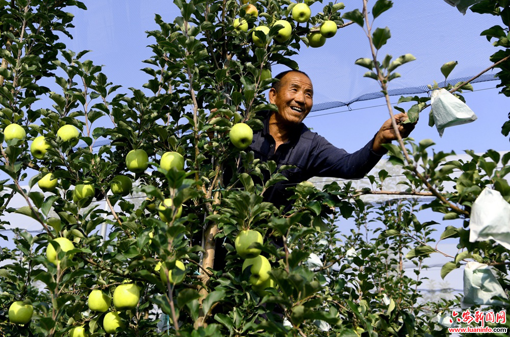 4aa78c2d06d8447c859b0c8f6c684904.jpg 4aa78c2d06d8447c859b0c8f6c684904.jpg