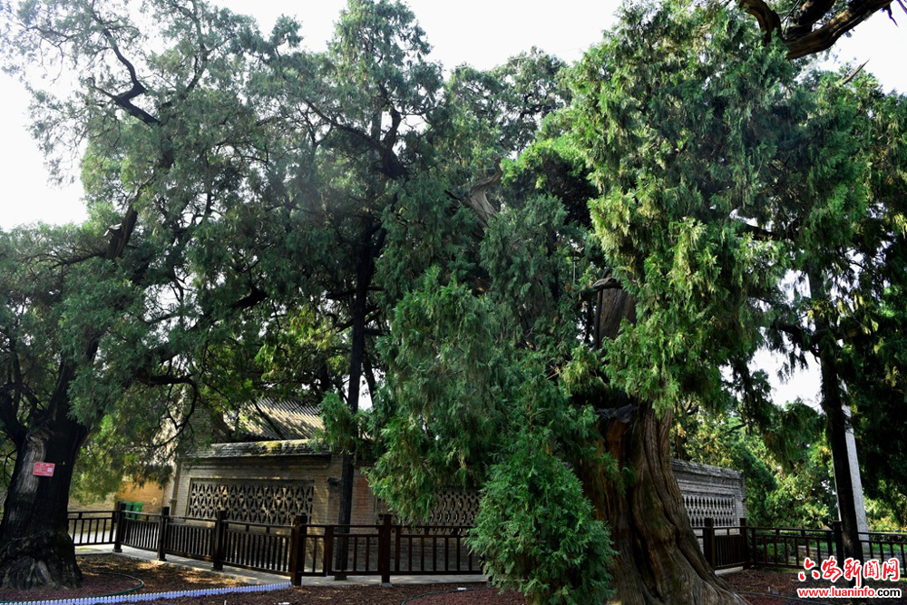 a336de253546438bbc75a166178e4ad0.jpg a336de253546438bbc75a166178e4ad0.jpg