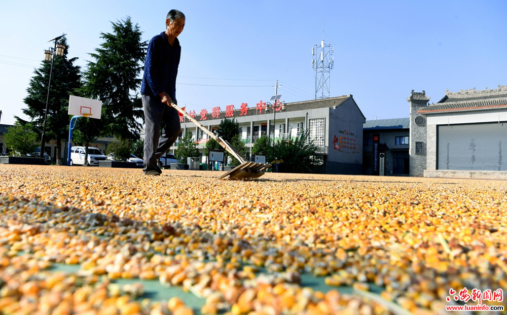 b371ec9ec66a4bd8bcccb22fb64d6aa6.jpg b371ec9ec66a4bd8bcccb22fb64d6aa6.jpg