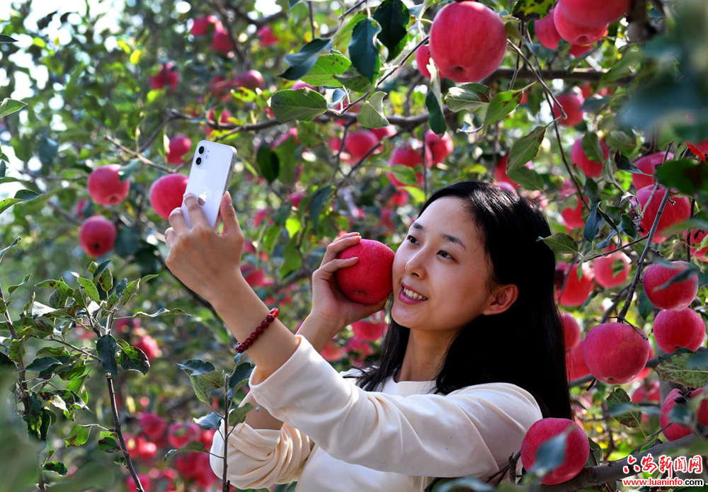 d9a8408ec1ad47a899aaf824c4e0929f.jpg d9a8408ec1ad47a899aaf824c4e0929f.jpg