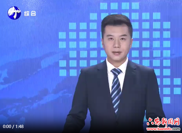 全市招投标领域突出问题专项整治工作推进会召开