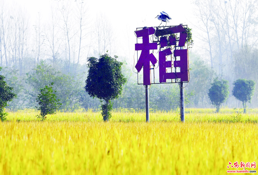 1fa9f6a9d457486fbc3c7c196bff2401.jpg 1fa9f6a9d457486fbc3c7c196bff2401.jpg