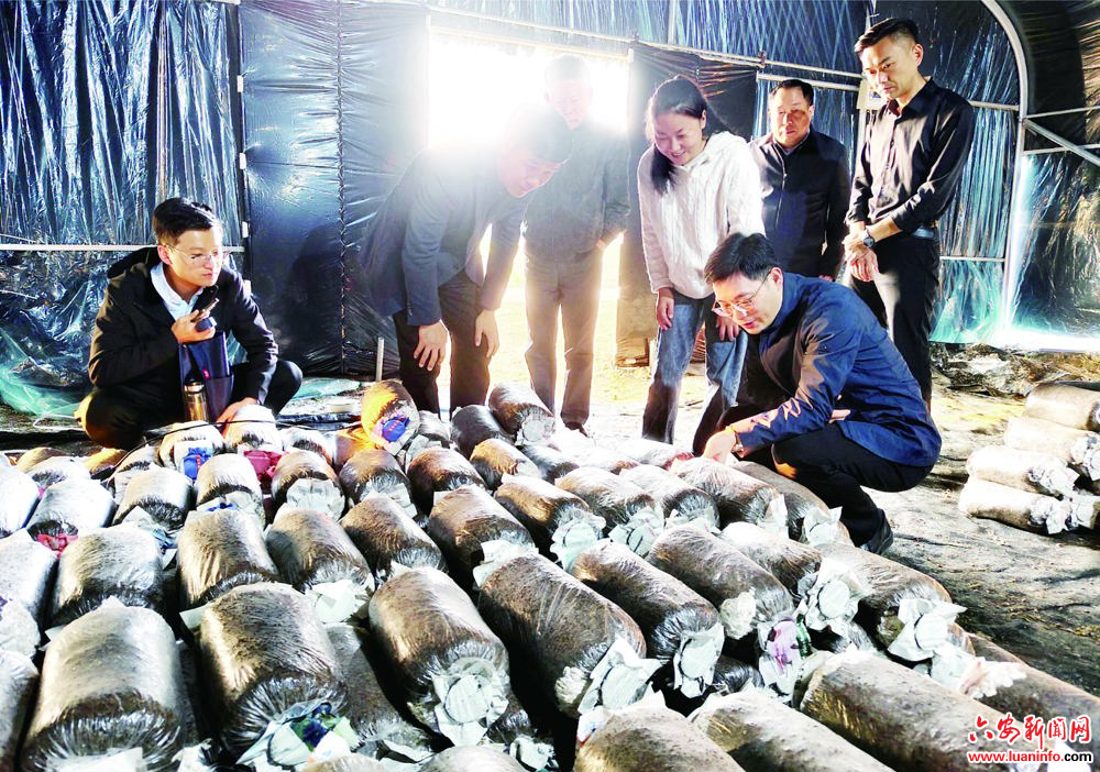 f0c062827431464293c5fe708d100494.jpg f0c062827431464293c5fe708d100494.jpg