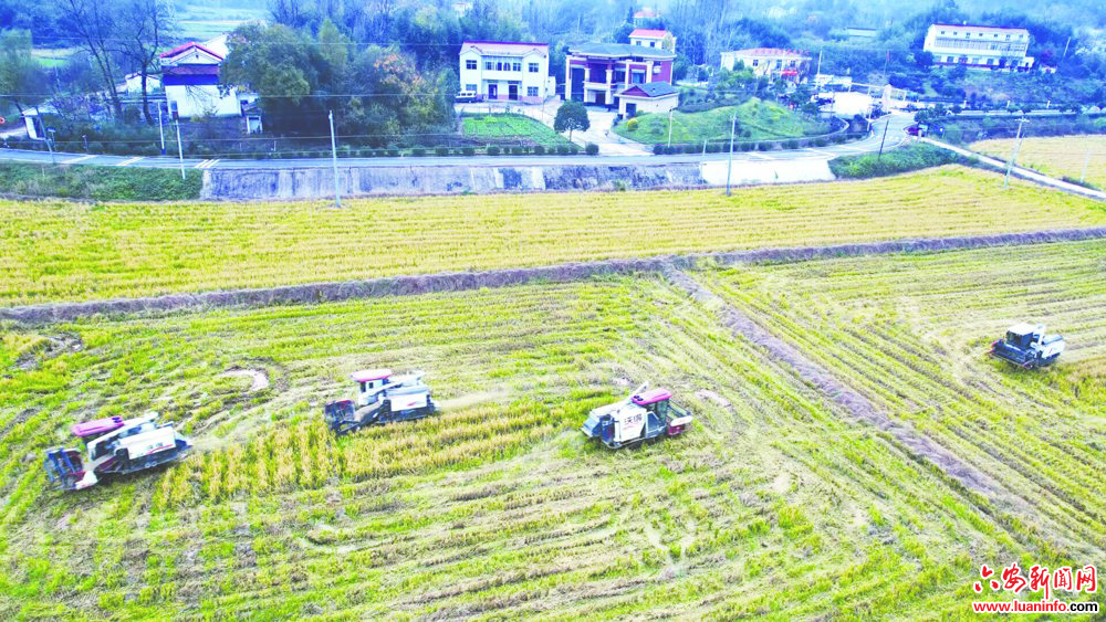 310d1dfa47ae4351a0820dc317e5dc12.jpg 310d1dfa47ae4351a0820dc317e5dc12.jpg