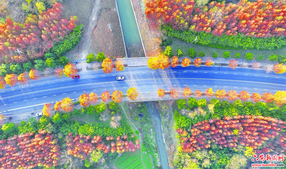 edaa1bcd27d6490bbb46d022dabac349.jpg edaa1bcd27d6490bbb46d022dabac349.jpg