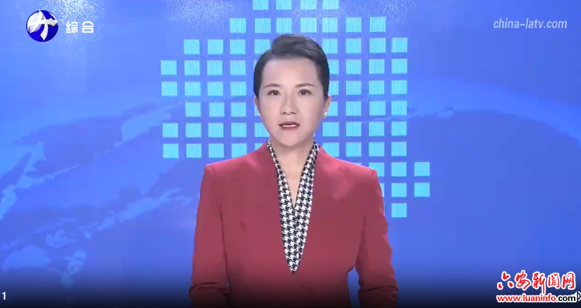  六安：发展中药产业 助力乡村振兴