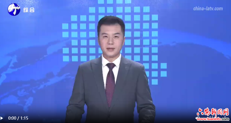 市委统战部 市工商联与民营企业季度座谈会 暨六安市初创企业专题座谈会召开