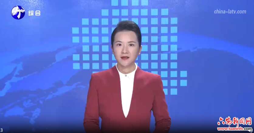 方正在金寨县调研乡村振兴工作并驻村走访时强调：做好乡村全面振兴大文章 让老区人民过上更加幸福美好生活