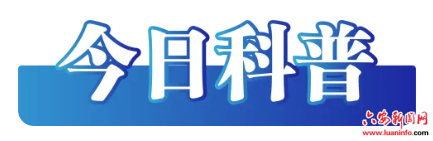 1f03153943f54e3aa337d254994cc4b8.png