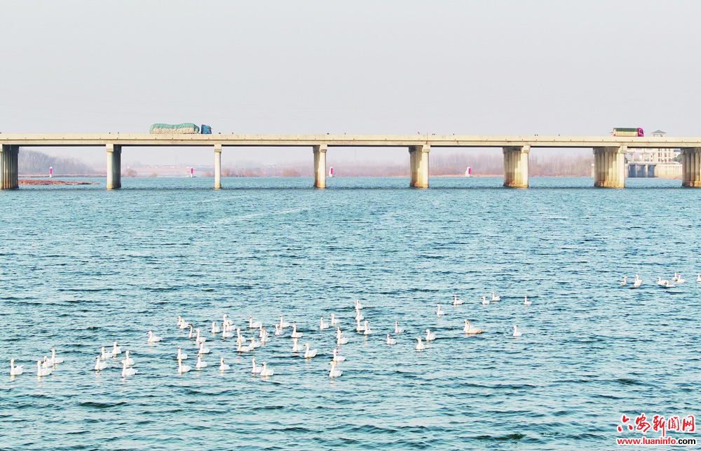 5c378f59f8a547dbafe373b6270db190.jpg 5c378f59f8a547dbafe373b6270db190.jpg