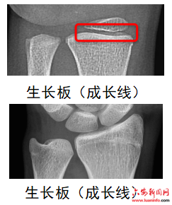 123fffaf8aa14ce7a348e4f0ca983e2b.png