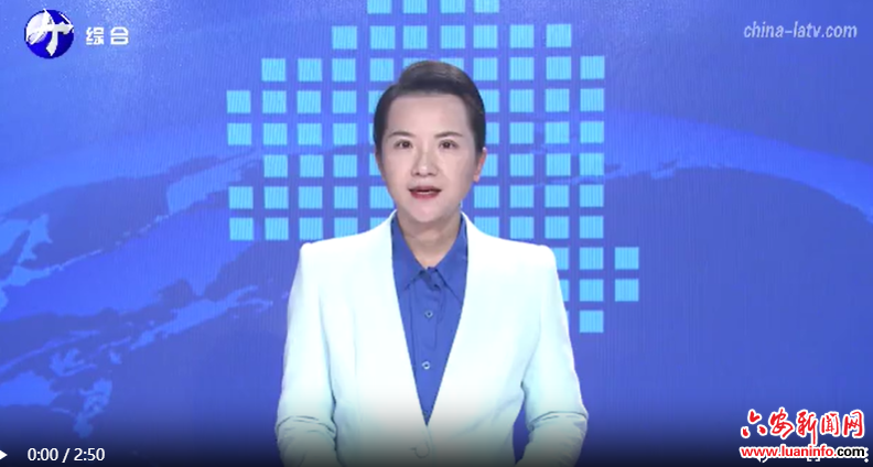 节后上班第一天 政务服务有序开