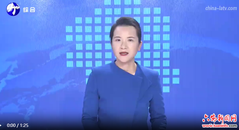 刘洪洁调研重点项目复工复产工作