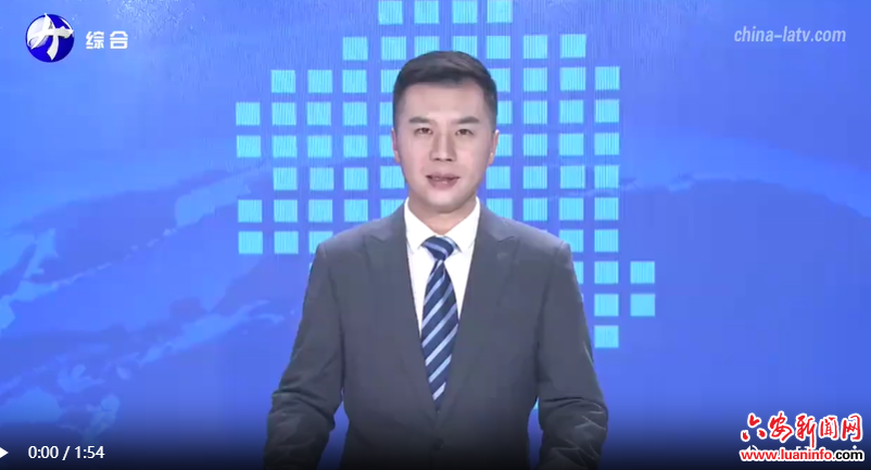 六安：复工复产抓生产 企业跑出“加速度”