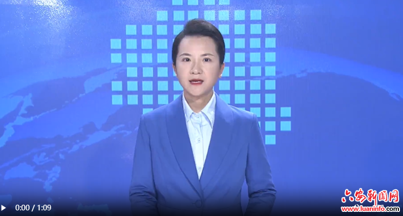 李敏指导金安区委常委会2024年度民主生活会